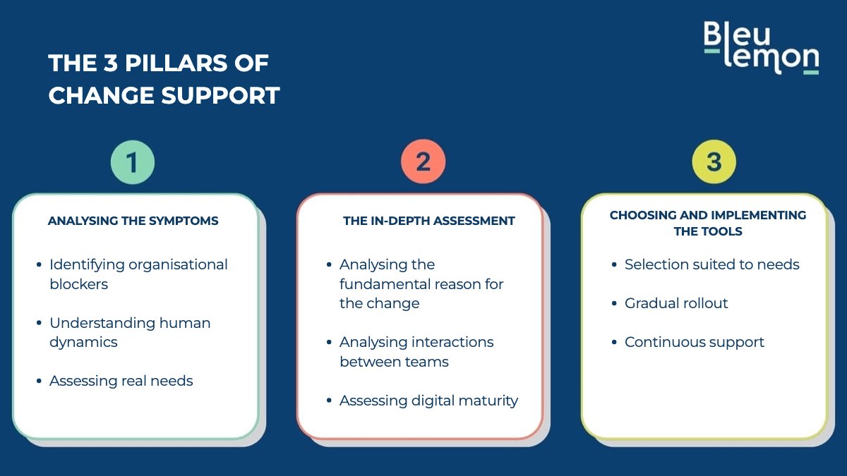 Illustration for the section “What are the three pillars of change support with BleuLemon”