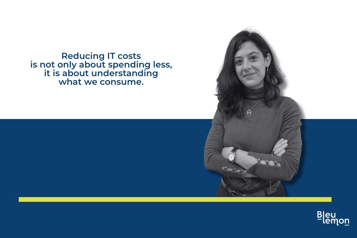 Cover image for the article on IT cost reduction